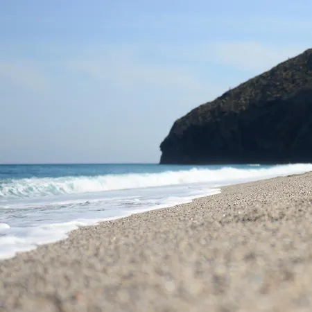 Calachica Negras