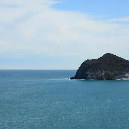 Calachica Negras